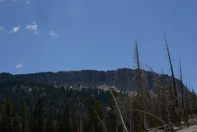 DSC_3176 (Large).JPG